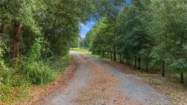 20051 E LEVY ST, Williston, FL 32696