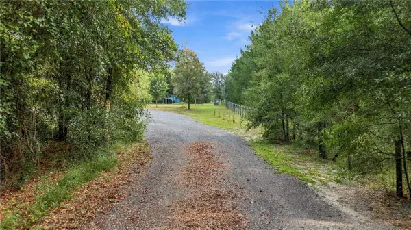 20051 E LEVY ST, Williston, FL 32696