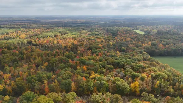 TBD Skyview ST, Brook Park, MN 55007