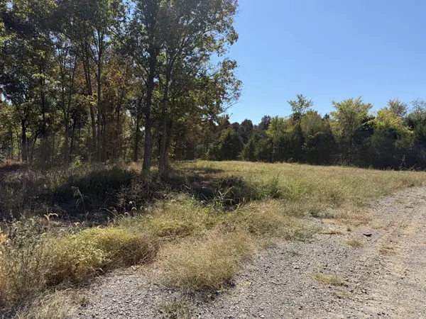 1247 George Patterson Dr, Murfreesboro, TN 37127