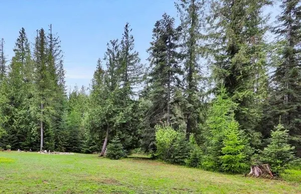 221 Harworth Rd, Newport, WA 99156