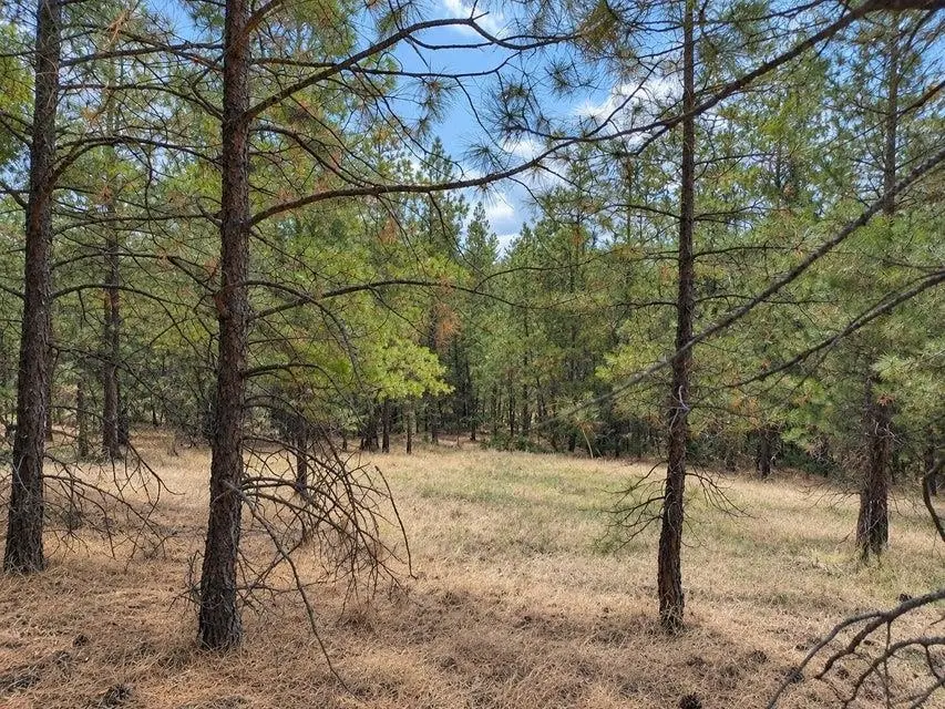 NKA Ponderosa WAY, Kettle Falls, WA 99141