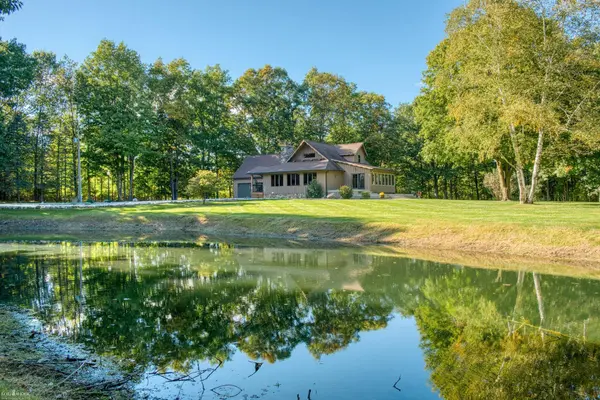 3733 Hibbard RD, Caledonia Twp, MI 48817