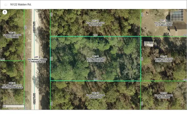 16122 MALDEN RD, Weeki Wachee, FL 34614