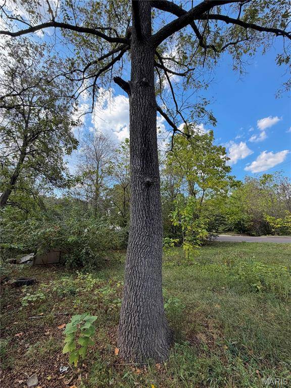 603 S Elmer ST, Salem, MO 65560