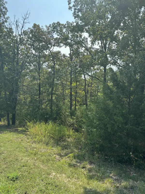 Lot #3 Fox Hollow RD, Branson West, MO 65737