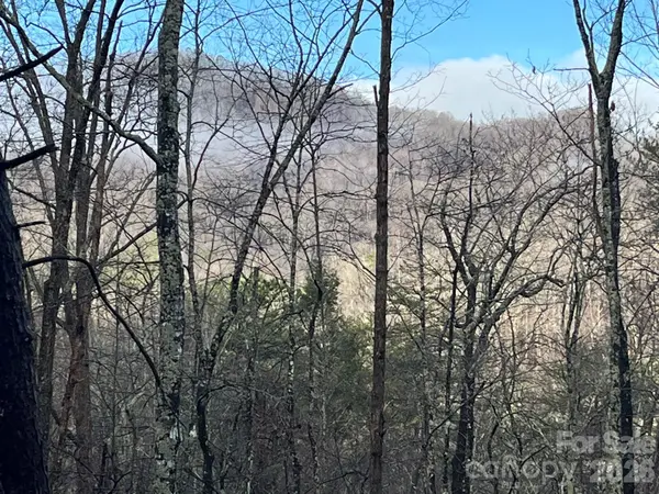 00 Ridgecrest DR, Lake Lure, NC 28746