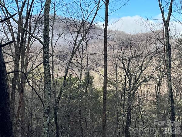 00 Ridgecrest DR, Lake Lure, NC 28746