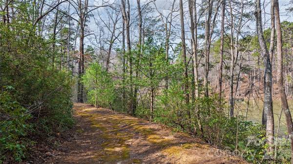 Lot 27 South Cove RD, Mill Spring, NC 28756