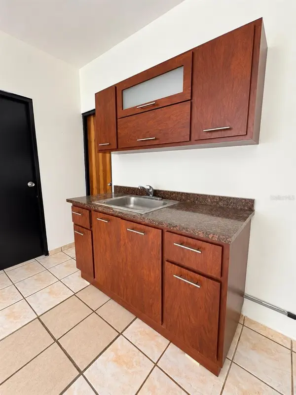 765 BO. JAGUAR, San Lorenzo, PR 00754