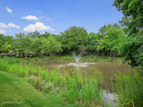 524 Banyon LN #D, La Grange, IL 60525