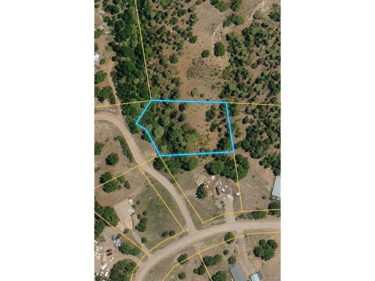 448 Crystal Peak, Florissant, CO 80816