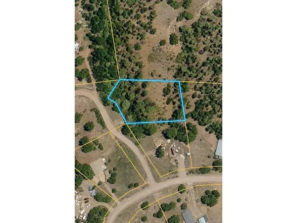 448 Crystal Peak, Florissant, CO 80816