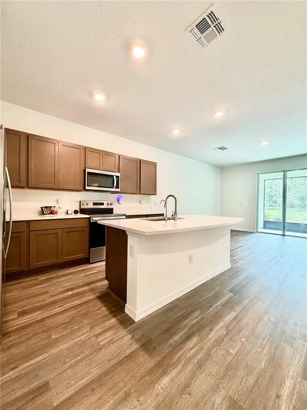 11407 VELVET APRICOT DR, Land O Lakes, FL 34638