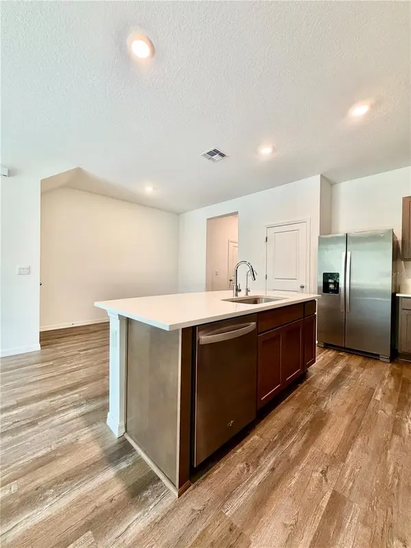 11407 VELVET APRICOT DR, Land O Lakes, FL 34638