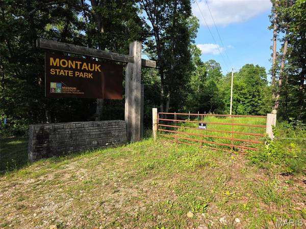 TBD Highway 119, Salem, MO 65560