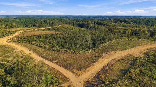 0 Birdsong Road, Holladay, TN 38341