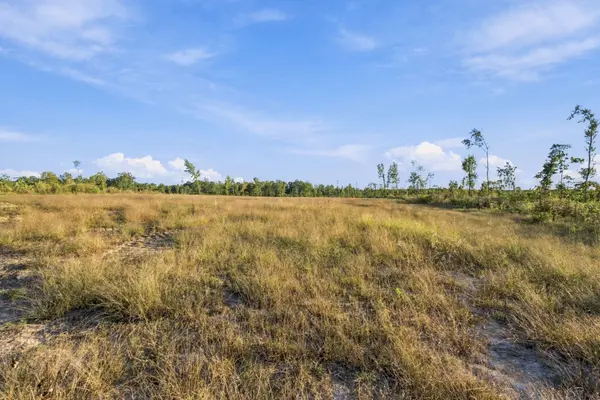 0 Birdsong Road, Holladay, TN 38341