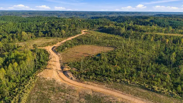 0 Birdsong Road, Holladay, TN 38341