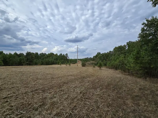 000 Golden Trail DR, Raymondville, MO 65555
