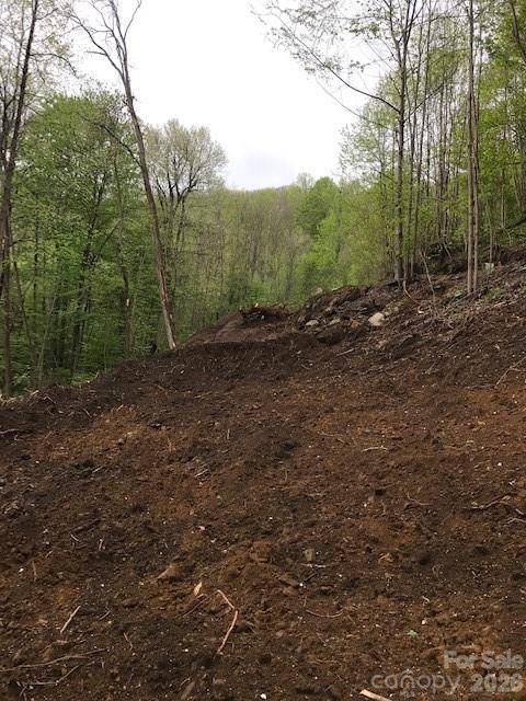 976 Slippery Rock RD, Waynesville, NC 28785