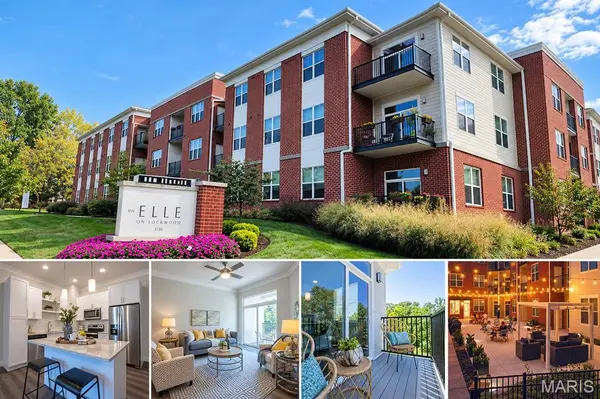 226 E Lockwood AVE #305, St Louis, MO 63119