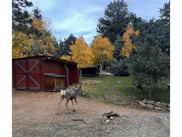 280 Bunny, Bailey, CO 80421