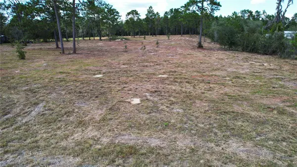 53RD LN, Morriston, FL 32668