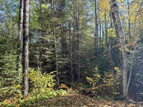 4603 North Rd, Hovland, MN 55604