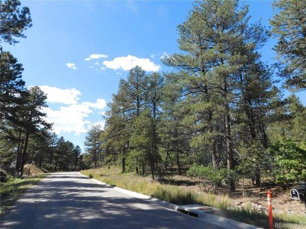 773 Copper Fox, Larkspur, CO 80118