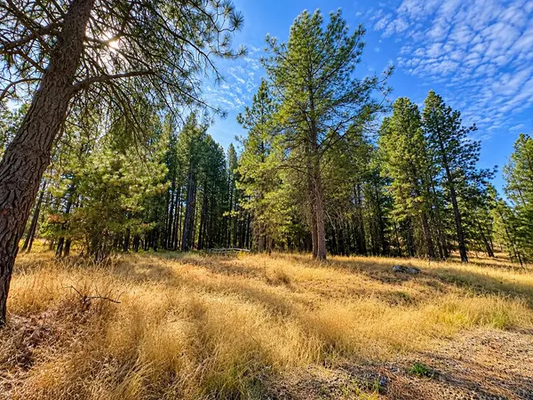 XXXX S Bootstrap Ln #Lot #1, Cheney, WA 99004