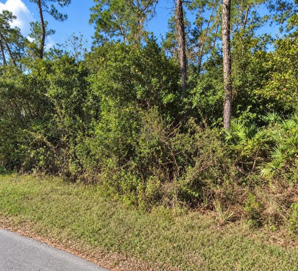 COON RD, Astor, FL 32102