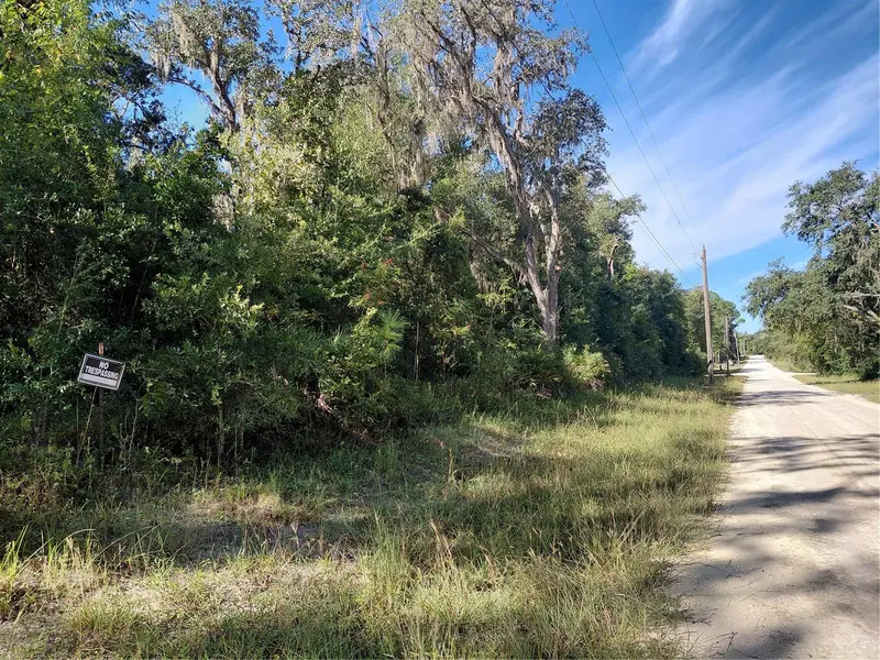 BUTTERNUT DR, Webster, FL 33597