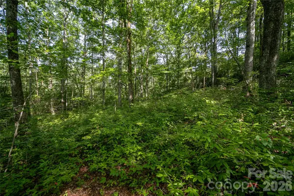 Lot 8 Sweetwater Ridge RD #8, Balsam Grove, NC 28708