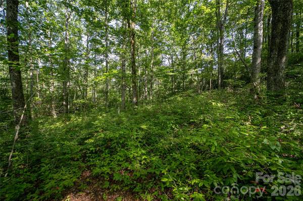Lot 8 Sweetwater Ridge RD #8, Balsam Grove, NC 28708
