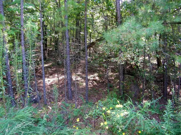 Hee Creek, Smithville, OK 74957