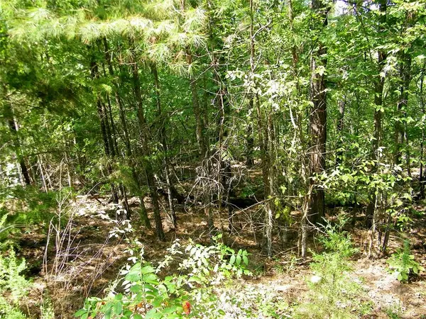 Hee Creek, Smithville, OK 74957