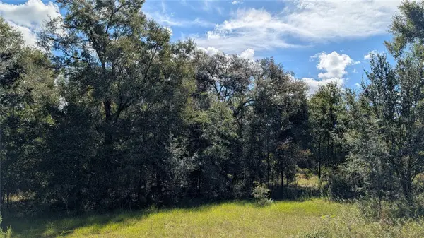 Lot 3 NE 48TH CT, High Springs, FL 32643