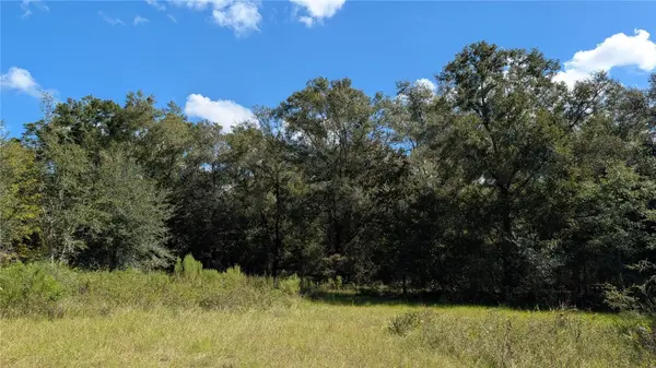 Lot 3 NE 48TH CT, High Springs, FL 32643