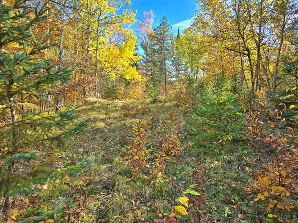 TBD Ironwood Drive, Park Rapids, MN 56470