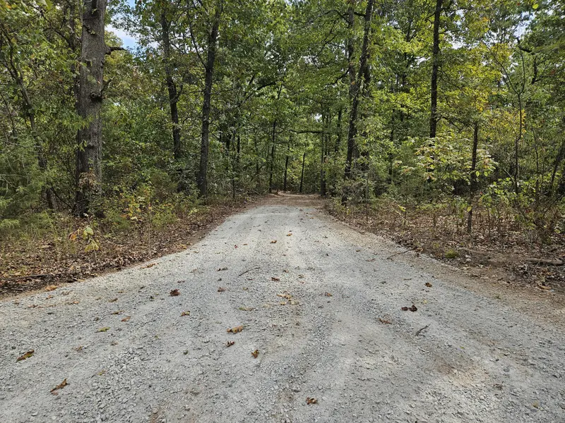 000 Co Rd 521 #Tract 5, Hardenville, MO 65666