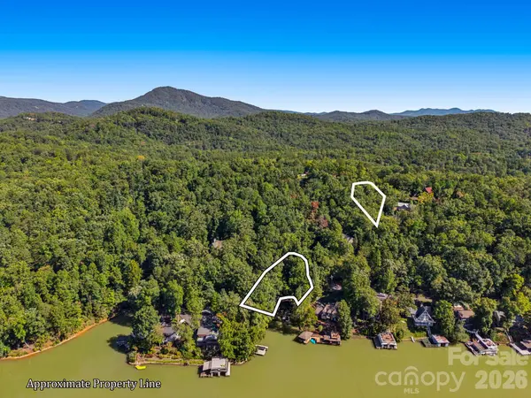 0 Buffalo Shoals RD #Tract IV, Lot 25, Lake Lure, NC 28746