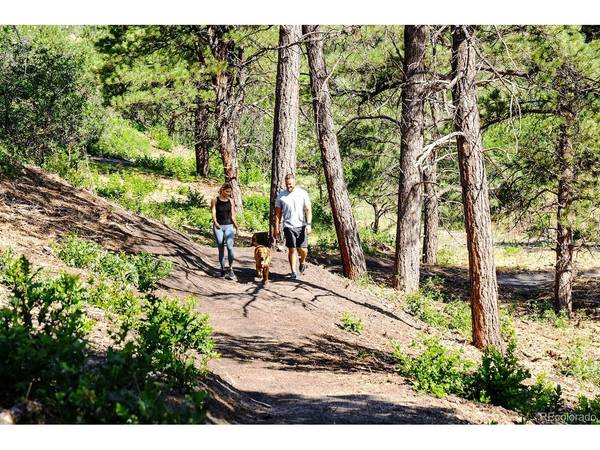 4164 Buttongrass, Castle Rock, CO 80108