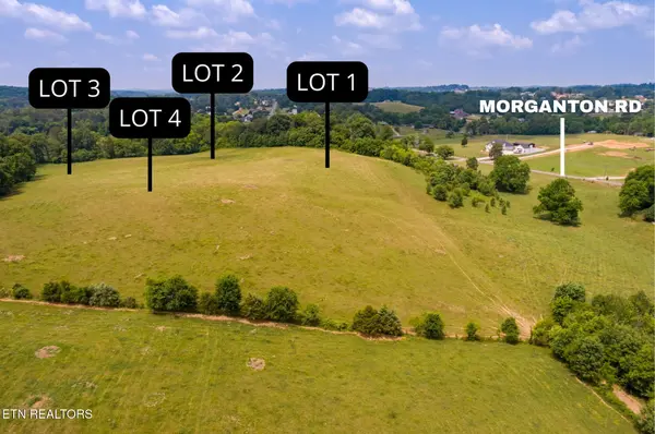 112 Seth Alan Way, Greenback, TN 37742