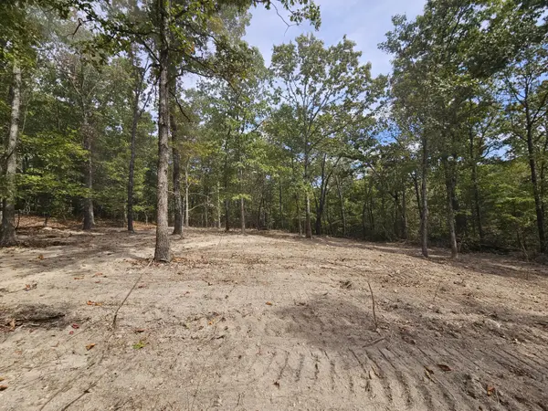000 Co Rd 519 #Tract 1, Hardenville, MO 65666