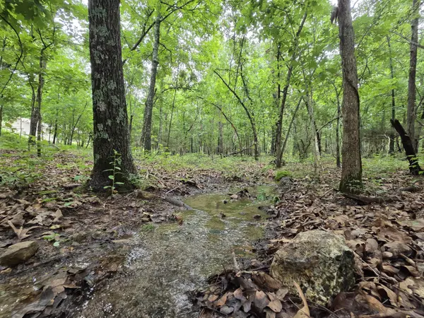 000 Golf Course RD, Marshfield, MO 65706