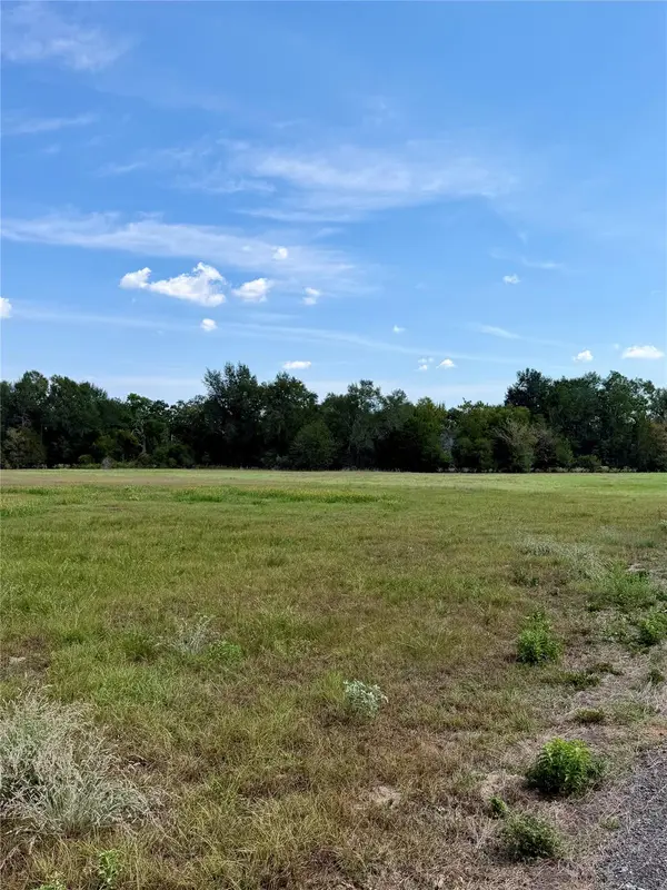 TBD Richmond Street, Mcdade, TX 78650