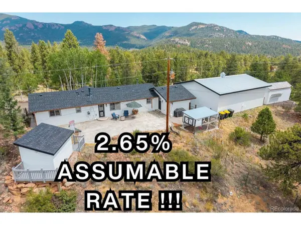 33758 Harmon, Pine, CO 80470