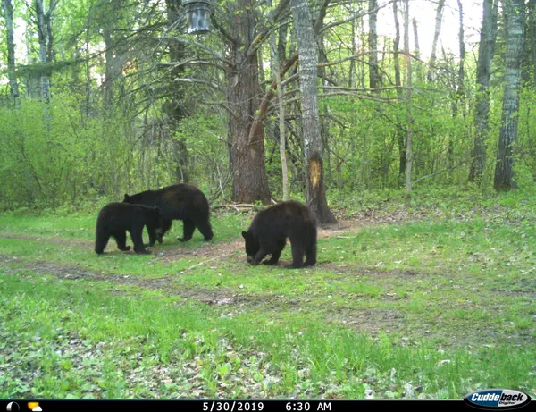 TBD 120th ST, Wannaska, MN 56761