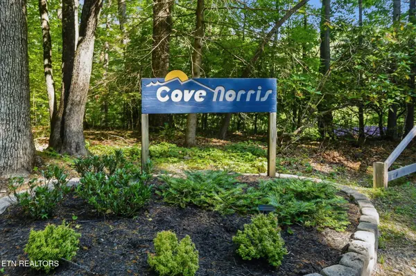 1068 N Shorewood Drive, Caryville, TN 37714